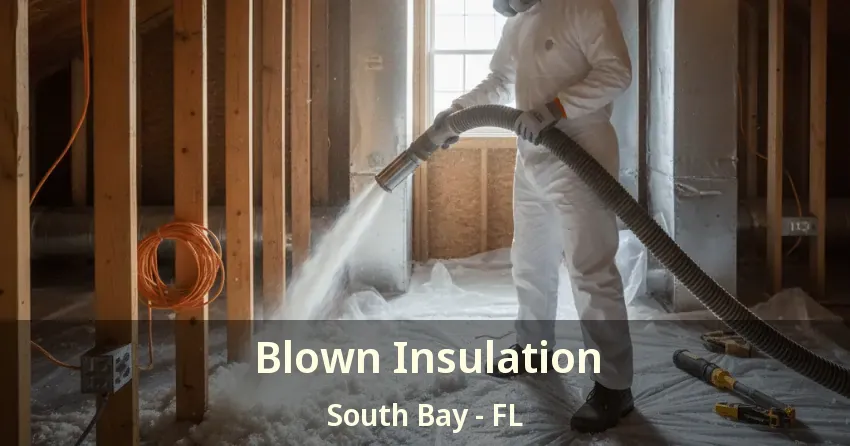 Blown Insulation South Bay - FL