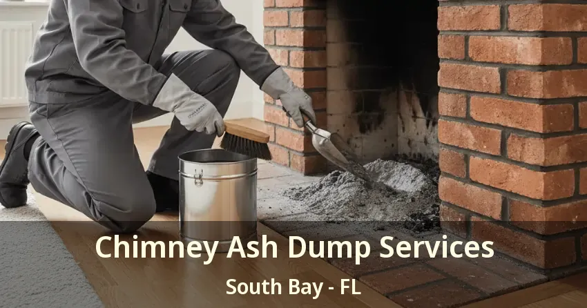 Chimney Ash Dump Services South Bay - FL