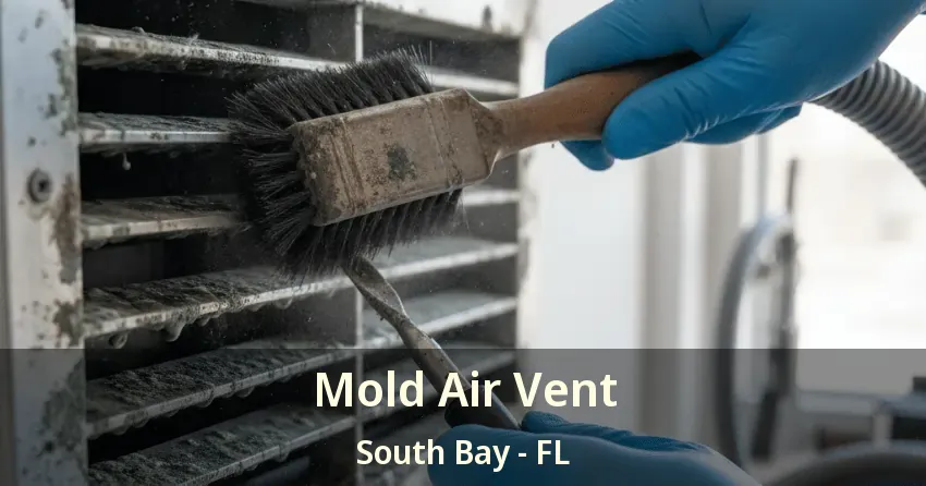 Mold Air Vent South Bay - FL