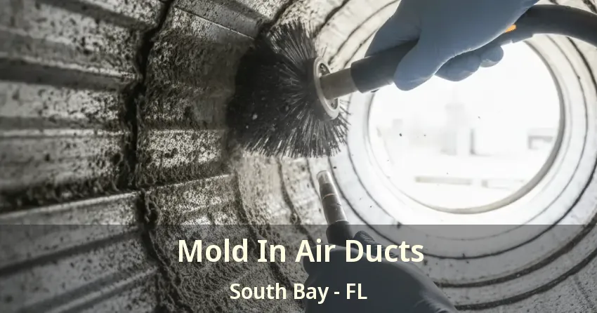 Mold In Air Ducts South Bay - FL