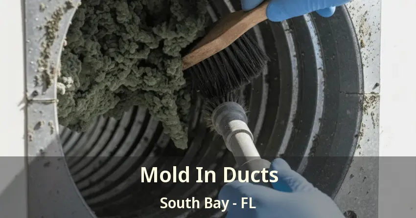 Mold In Ducts South Bay - FL