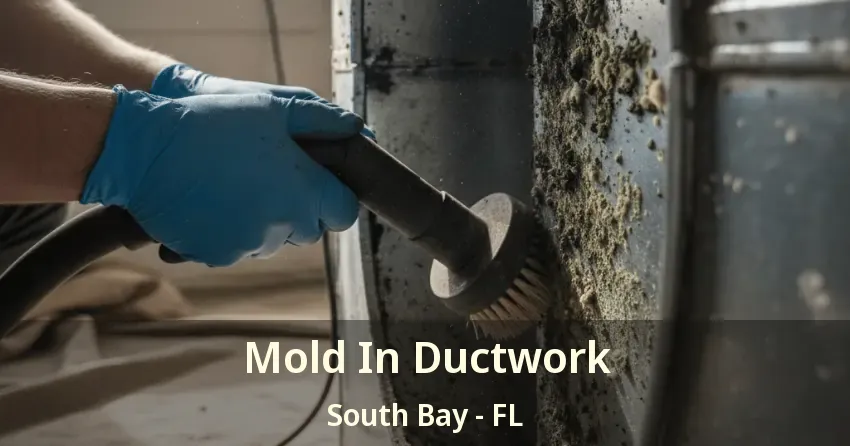 Mold In Ductwork South Bay - FL Mold In Ductwork South Bay - FL
