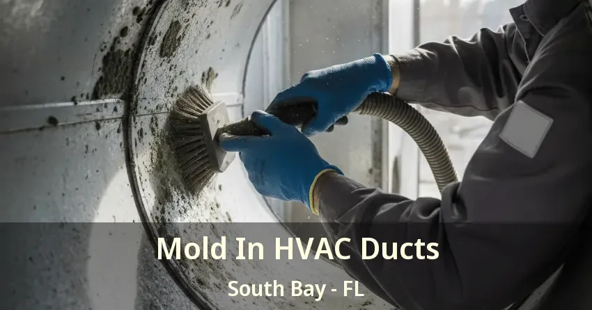 Mold In HVAC Ducts South Bay - FL Mold In HVAC Ducts South Bay - FL